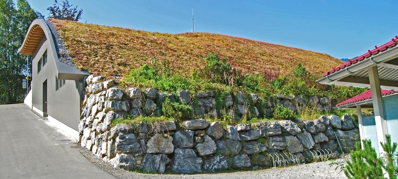 Pitched green roof